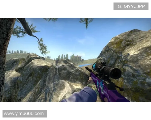 CSGO战术解析JDG盯防体系的核心策略与执行细节探讨