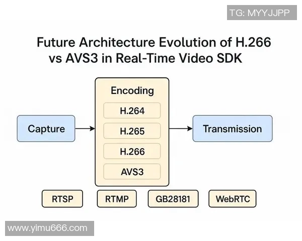 专访杨娜揭秘和平精英成功秘诀与未来发展战略实时数据 专访杨娜揭秘和平精英成功秘诀与未来发展战略实时数据